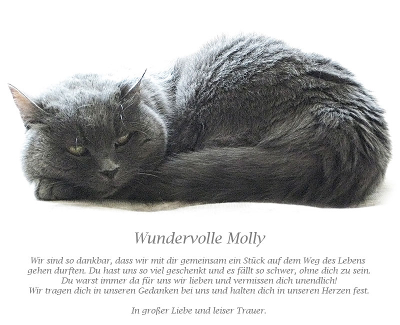 Wundervolle Molly